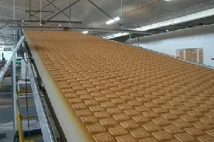 Biscuit Conveyor Belt
