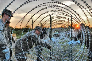 Concertina Wires In Florida