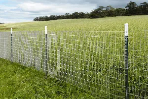 Fencing Wire