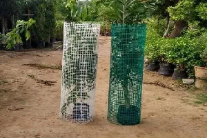 Tree Guard Net