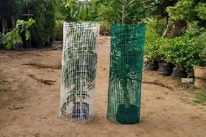 Tree Guard Net In Punjabi Bagh