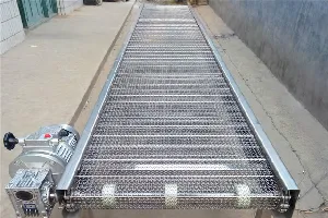 Wire Mesh Conveyor
